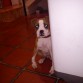 patitaaaaa